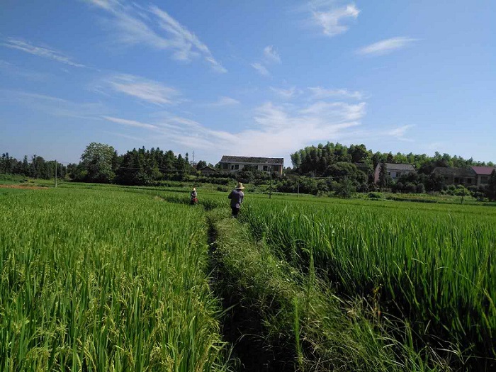 湖南森美思環(huán)保有限責任公司,長(cháng)沙土壤修復技術(shù),湖南廢水治理,湖南大氣污染治理